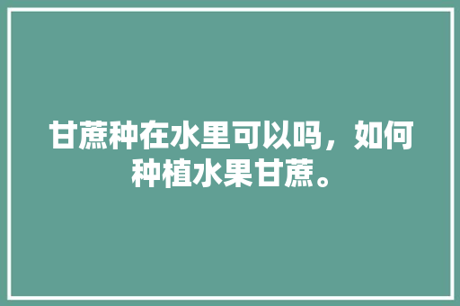 甘蔗种在水里可以吗，如何种植水果甘蔗。 水果种植