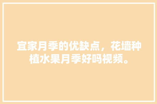 宜家月季的优缺点，花墙种植水果月季好吗视频。 水果种植