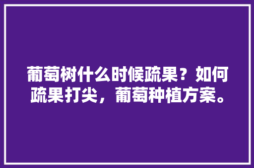 葡萄树什么时候疏果？如何疏果打尖，葡萄种植方案。 土壤施肥