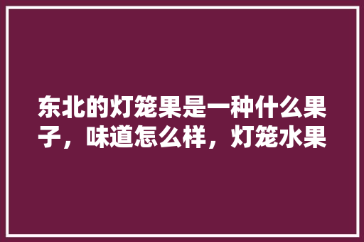 东北的灯笼果是一种什么果子，味道怎么样，灯笼水果种植图片大全。 家禽养殖