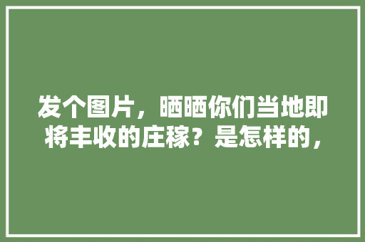 发个图片，晒晒你们当地即将丰收的庄稼？是怎样的，黑桃水果种植教程视频大全。 发个图片，晒晒你们当地即将丰收的庄稼？是怎样的，黑桃水果种植教程视频大全。 家禽养殖