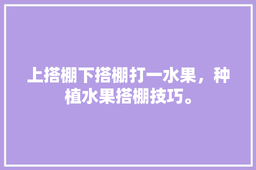 上搭棚下搭棚打一水果，种植水果搭棚技巧。 畜牧养殖