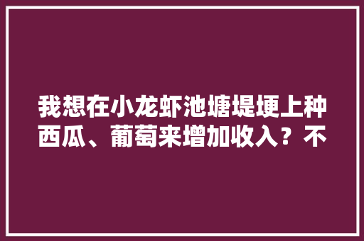 我想在小龙虾池塘堤埂上种西瓜、葡萄来增加收入？不知道可行不，西瓜水果种植基地在哪里。 畜牧养殖