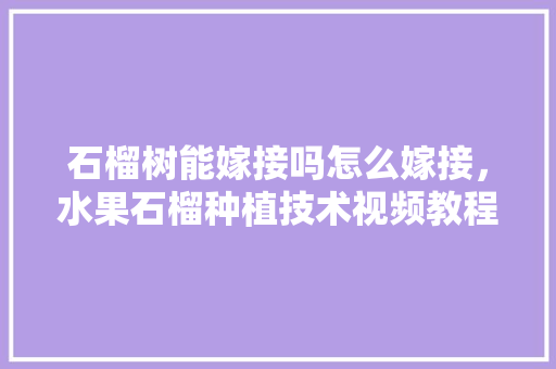 石榴树能嫁接吗怎么嫁接，水果石榴种植技术视频教程。 畜牧养殖