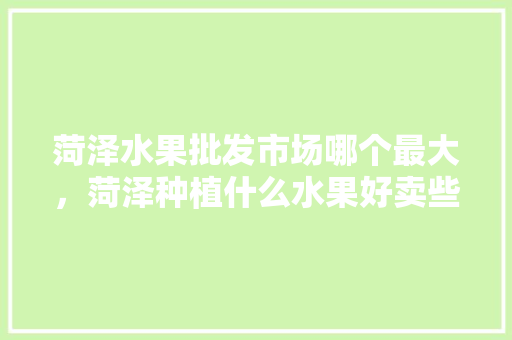 菏泽水果批发市场哪个最大，菏泽种植什么水果好卖些。 土壤施肥