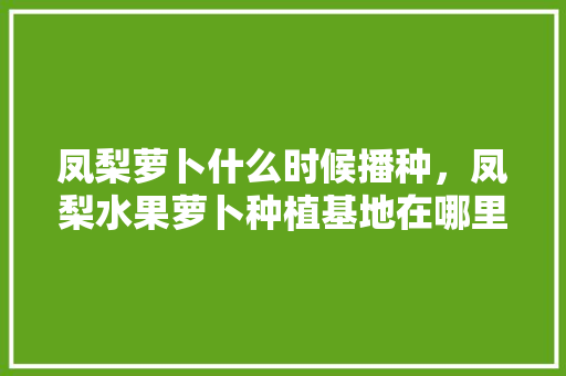 凤梨萝卜什么时候播种，凤梨水果萝卜种植基地在哪里。 土壤施肥