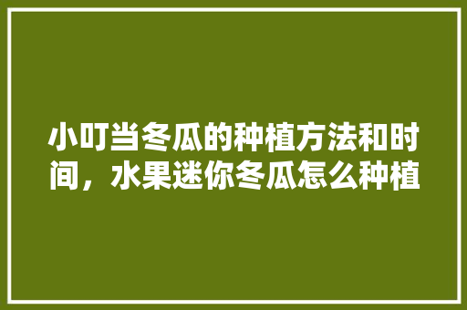 小叮当冬瓜的种植方法和时间，水果迷你冬瓜怎么种植的。 水果种植