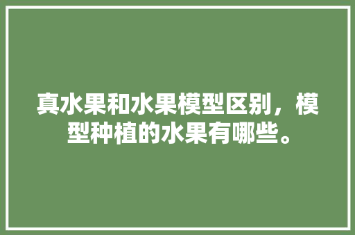 真水果和水果模型区别，模型种植的水果有哪些。 畜牧养殖