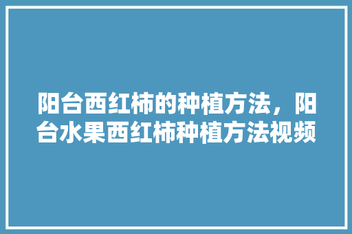 阳台西红柿的种植方法，阳台水果西红柿种植方法视频。 蔬菜种植