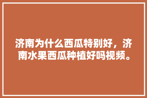 济南为什么西瓜特别好，济南水果西瓜种植好吗视频。 水果种植