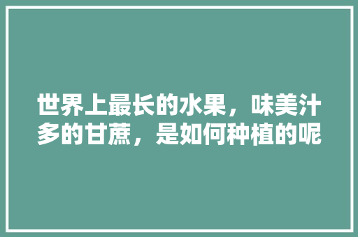 世界上最长的水果，味美汁多的甘蔗，是如何种植的呢，水果甘蔗的种植技术要点。 畜牧养殖