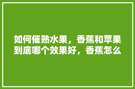 如何催熟水果，香蕉和苹果到底哪个效果好，香蕉怎么种植水果好呢视频。 水果种植