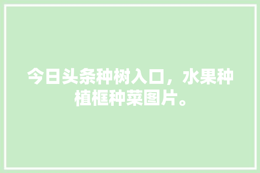 今日头条种树入口，水果种植框种菜图片。 家禽养殖