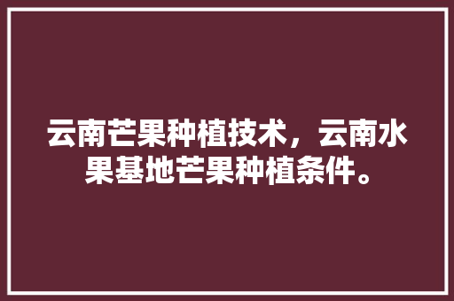 云南芒果种植技术，云南水果基地芒果种植条件。 土壤施肥