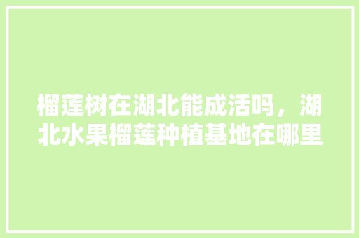 榴莲树在湖北能成活吗，湖北水果榴莲种植基地在哪里。 土壤施肥