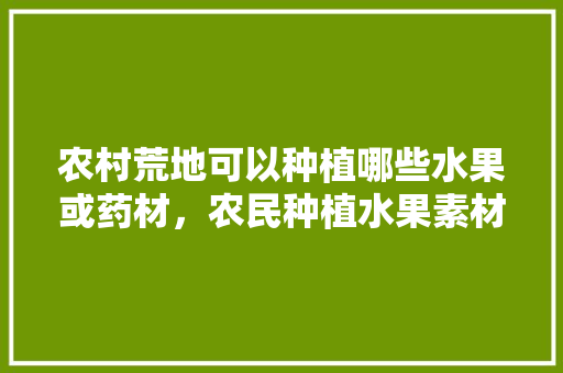 农村荒地可以种植哪些水果或药材，农民种植水果素材图片。 畜牧养殖