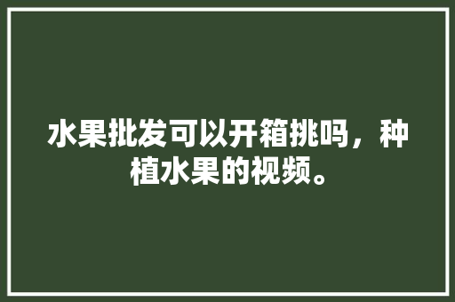 水果批发可以开箱挑吗，种植水果的视频。 土壤施肥