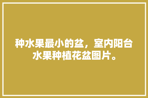 种水果最小的盆，室内阳台水果种植花盆图片。 畜牧养殖