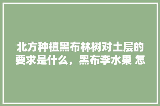 北方种植黑布林树对土层的要求是什么，黑布李水果 怎样种植视频。 水果种植