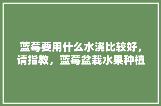 蓝莓要用什么水浇比较好，请指教，蓝莓盆栽水果种植技术视频。 畜牧养殖