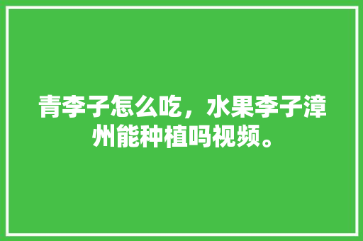 青李子怎么吃，水果李子漳州能种植吗视频。 青李子怎么吃，水果李子漳州能种植吗视频。 土壤施肥