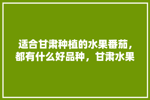 适合甘肃种植的水果番茄，都有什么好品种，甘肃水果种植技术与管理。 水果种植