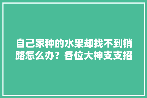 自己家种的水果却找不到销路怎么办？各位大神支支招，水果种植怎么找销路。 土壤施肥