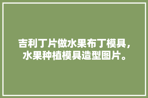 吉利丁片做水果布丁模具，水果种植模具造型图片。 畜牧养殖