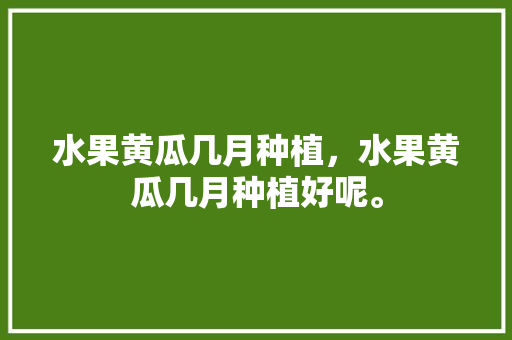 水果黄瓜几月种植，水果黄瓜几月种植好呢。 水果种植