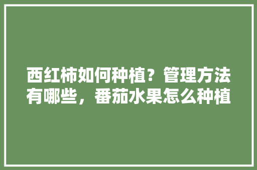 西红柿如何种植？管理方法有哪些，番茄水果怎么种植和管理视频。 家禽养殖