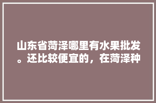 山东省菏泽哪里有水果批发。还比较便宜的，在菏泽种植什么水果最好。 蔬菜种植