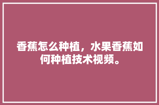 香蕉怎么种植，水果香蕉如何种植技术视频。 畜牧养殖