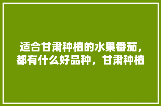 适合甘肃种植的水果番茄，都有什么好品种，甘肃种植水果技术要求。 畜牧养殖