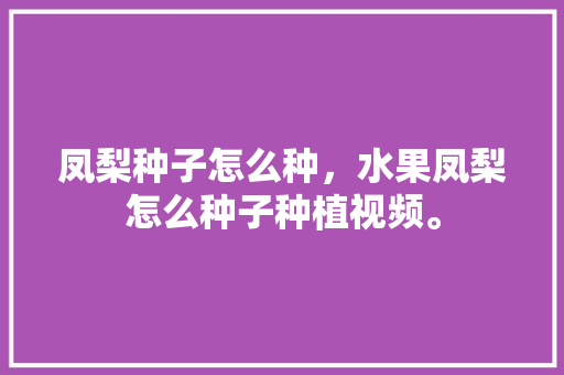 凤梨种子怎么种，水果凤梨怎么种子种植视频。 水果种植