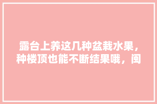 露台上养这几种盆栽水果，种楼顶也能不断结果哦，闽南露台种植哪些水果好。 蔬菜种植