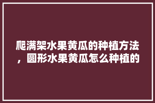 爬满架水果黄瓜的种植方法，圆形水果黄瓜怎么种植的。 家禽养殖