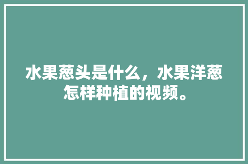 水果葱头是什么，水果洋葱怎样种植的视频。 蔬菜种植