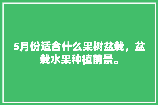 5月份适合什么果树盆栽，盆栽水果种植前景。 土壤施肥