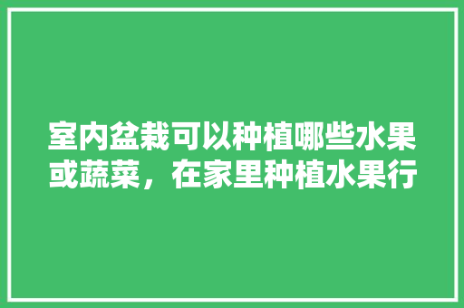 室内盆栽可以种植哪些水果或蔬菜，在家里种植水果行吗风水好吗。 蔬菜种植