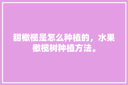 甜橄榄是怎么种植的，水果橄榄树种植方法。 水果种植