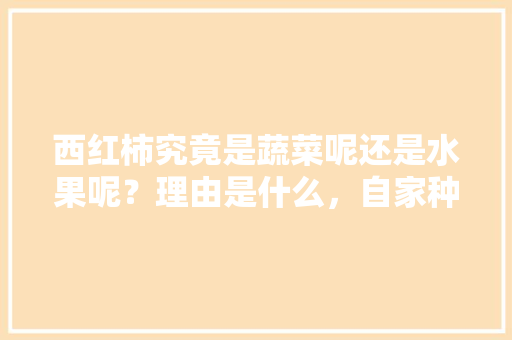 西红柿究竟是蔬菜呢还是水果呢？理由是什么，自家种植水果西红柿怎么种。 蔬菜种植