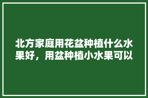 北方家庭用花盆种植什么水果好，用盆种植小水果可以吗。 水果种植