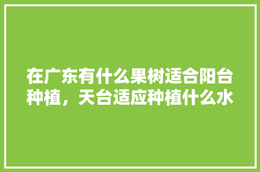 在广东有什么果树适合阳台种植，天台适应种植什么水果树。 土壤施肥