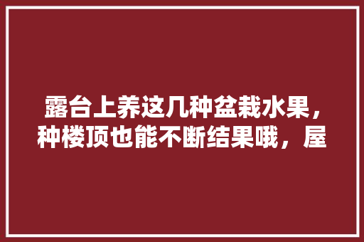 露台上养这几种盆栽水果，种楼顶也能不断结果哦，屋面种植水果图片大全大图。 蔬菜种植