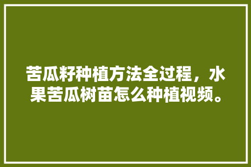 苦瓜籽种植方法全过程，水果苦瓜树苗怎么种植视频。 水果种植