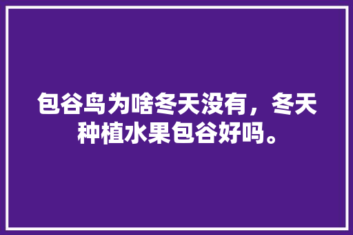 包谷鸟为啥冬天没有，冬天种植水果包谷好吗。 土壤施肥