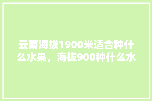 云南海拔1900米适合种什么水果，海拔900种什么水果。 畜牧养殖