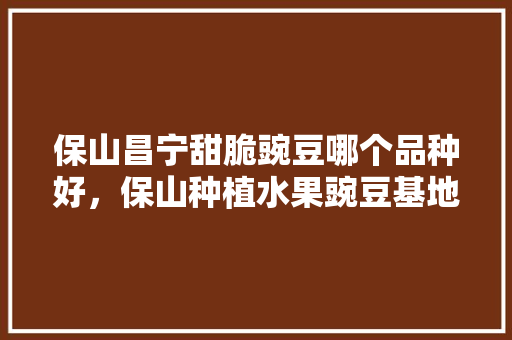 保山昌宁甜脆豌豆哪个品种好，保山种植水果豌豆基地在哪里。 土壤施肥