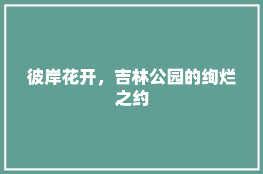 彼岸花开，吉林公园的绚烂之约 水果种植