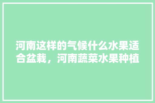 河南这样的气候什么水果适合盆栽，河南蔬菜水果种植基地。 河南这样的气候什么水果适合盆栽，河南蔬菜水果种植基地。 水果种植